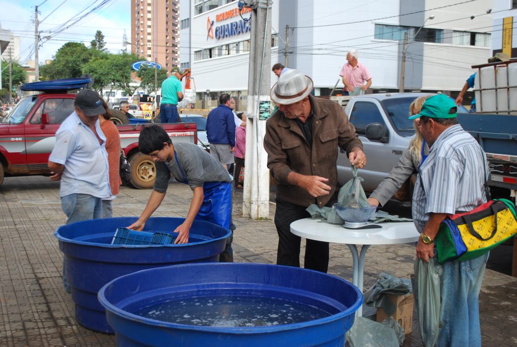 feira-do-peixe-vivo-8
