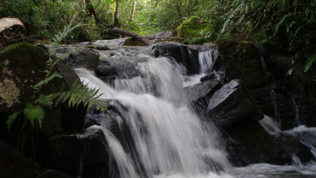 cachoeira-turvo-caminhada