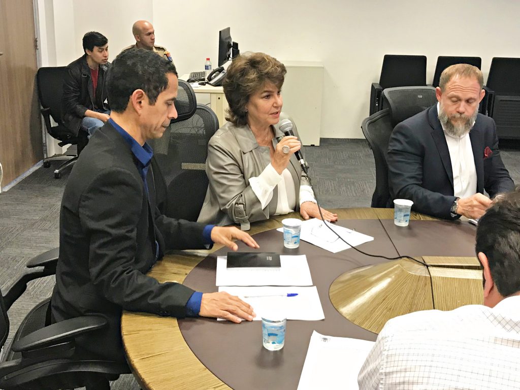 cristina-silvestri-reuniao-sesp-2019