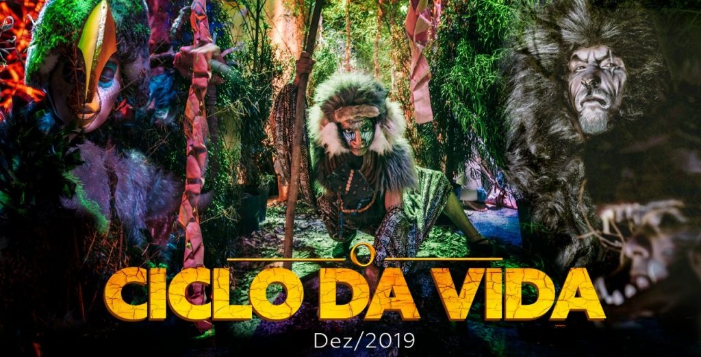 ciclo da vida
