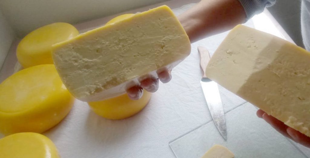 queijo