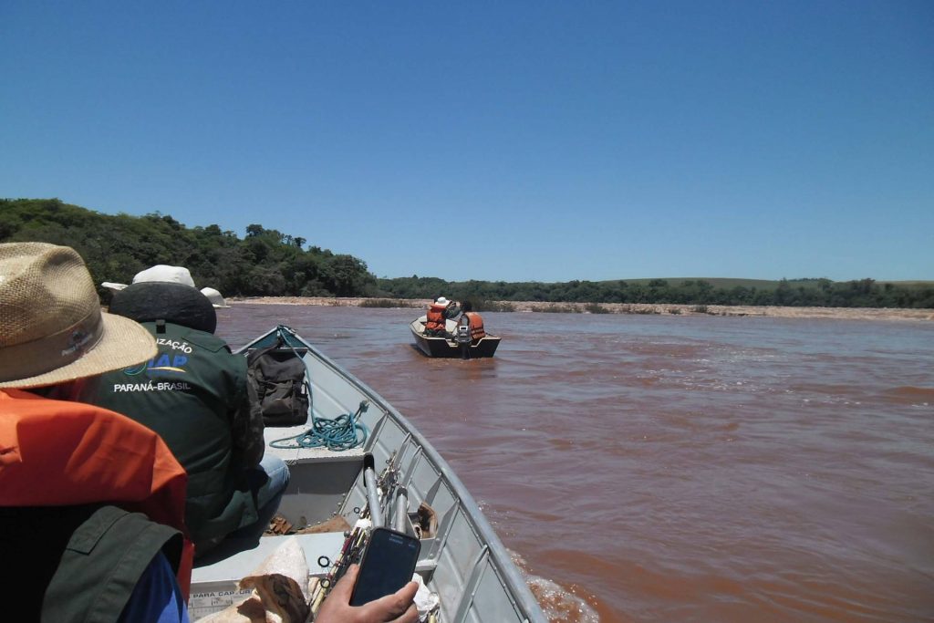pesca