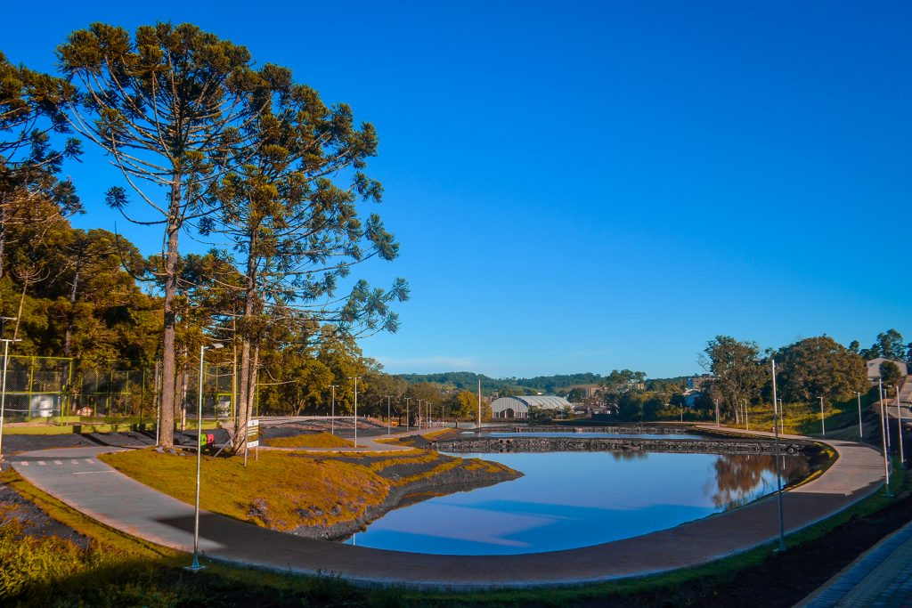 Chopinzinho conta com a maior reserva de araucárias do mundo (Foto: Ascom)