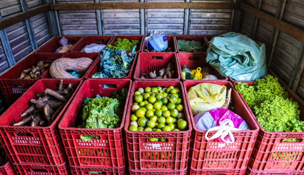 alimentos MST