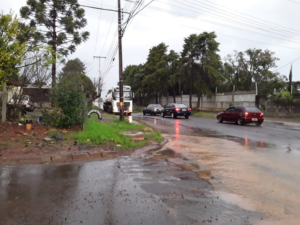 Árvores estão sendo cortadas pelos Bombeiros após quedas por conta da chuva (Foto: Corpo de Bombeiros)