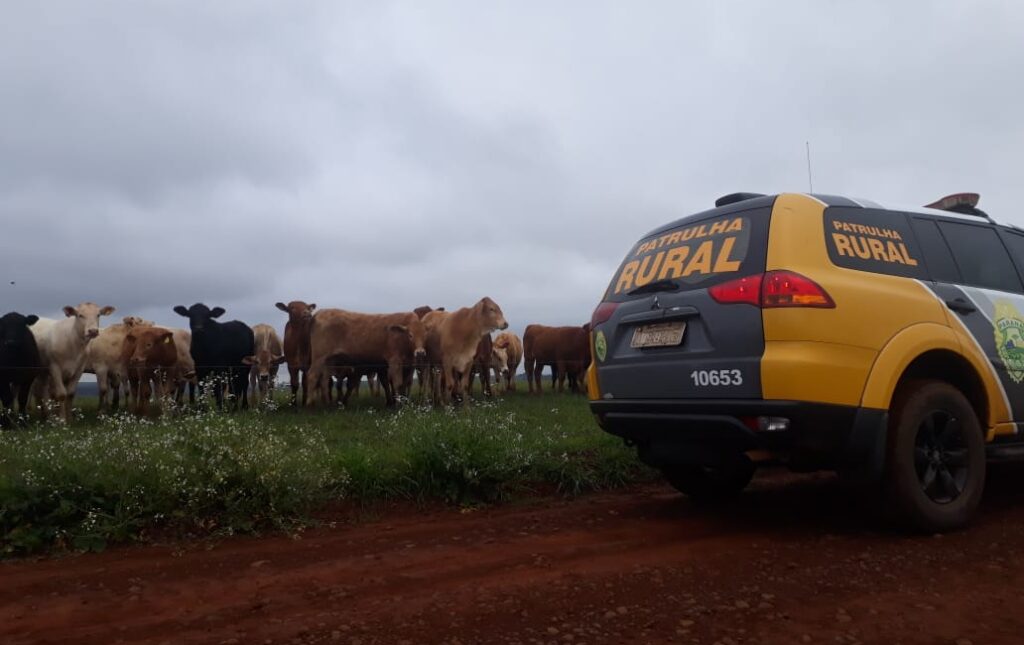 (Foto: Ascom/Polícia Militar)