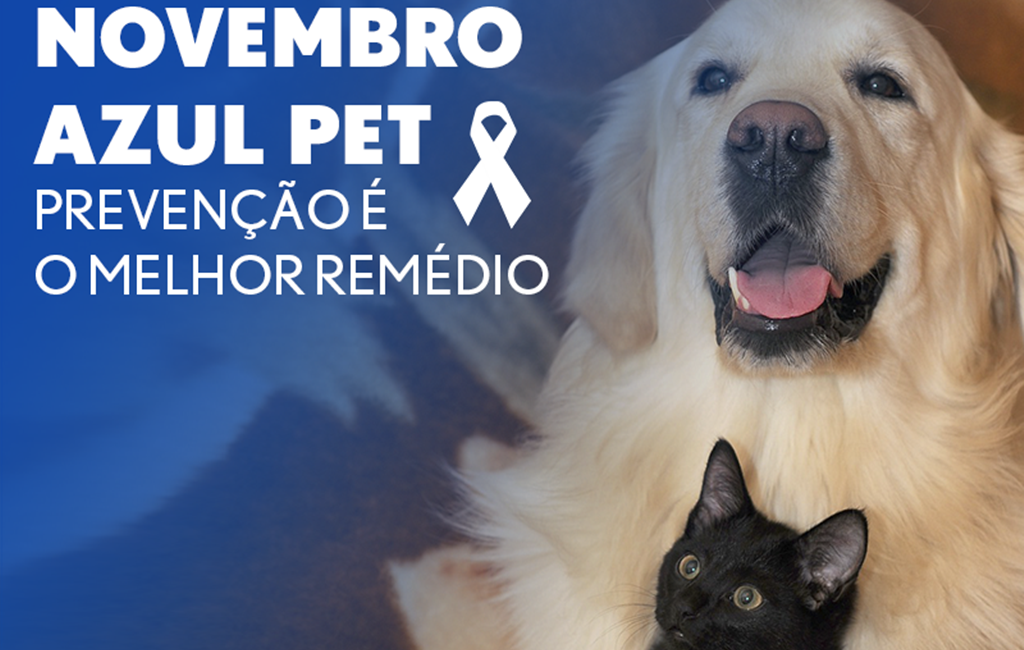 Novembro azul pet previne o câncer nos pets