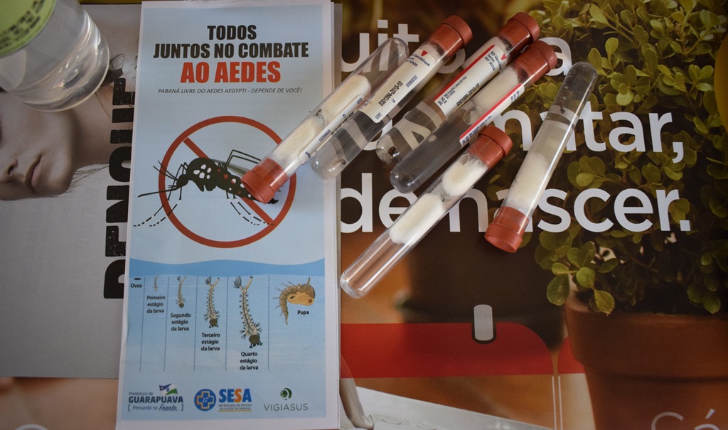 Vigilância Ambiental Dengue