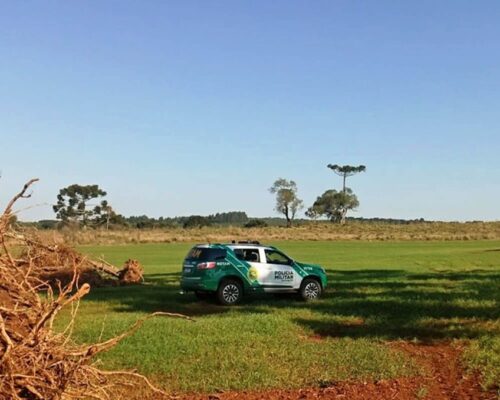 Desmatamento na APA da Serra da Esperança