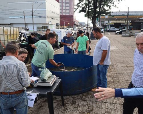 feira do peixe vivo