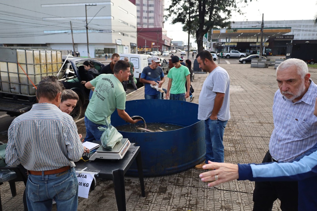 feira do peixe vivo
